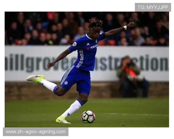 英超球队欧冠战绩回顾