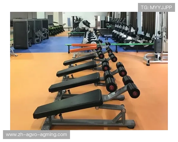 重庆室内健身器材购买指南及推荐品牌 重庆室内健身器材购买指南及推荐品牌